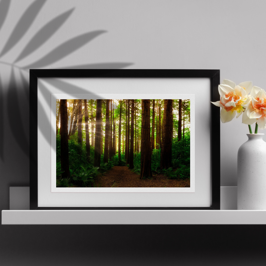 Summer in a Forest Print