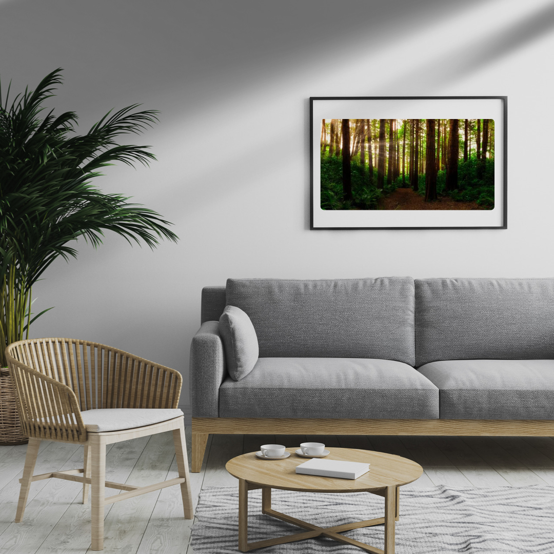 Summer in a Forest Print