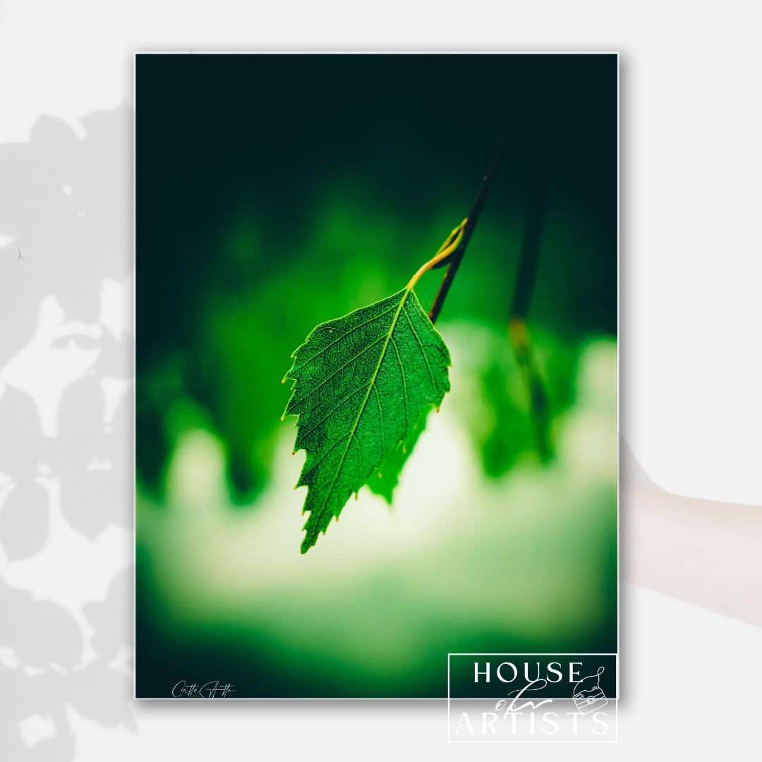 Alone - Macro Green Leaf Print