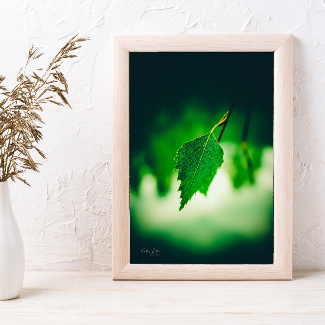 Alone - Macro Green Leaf Print