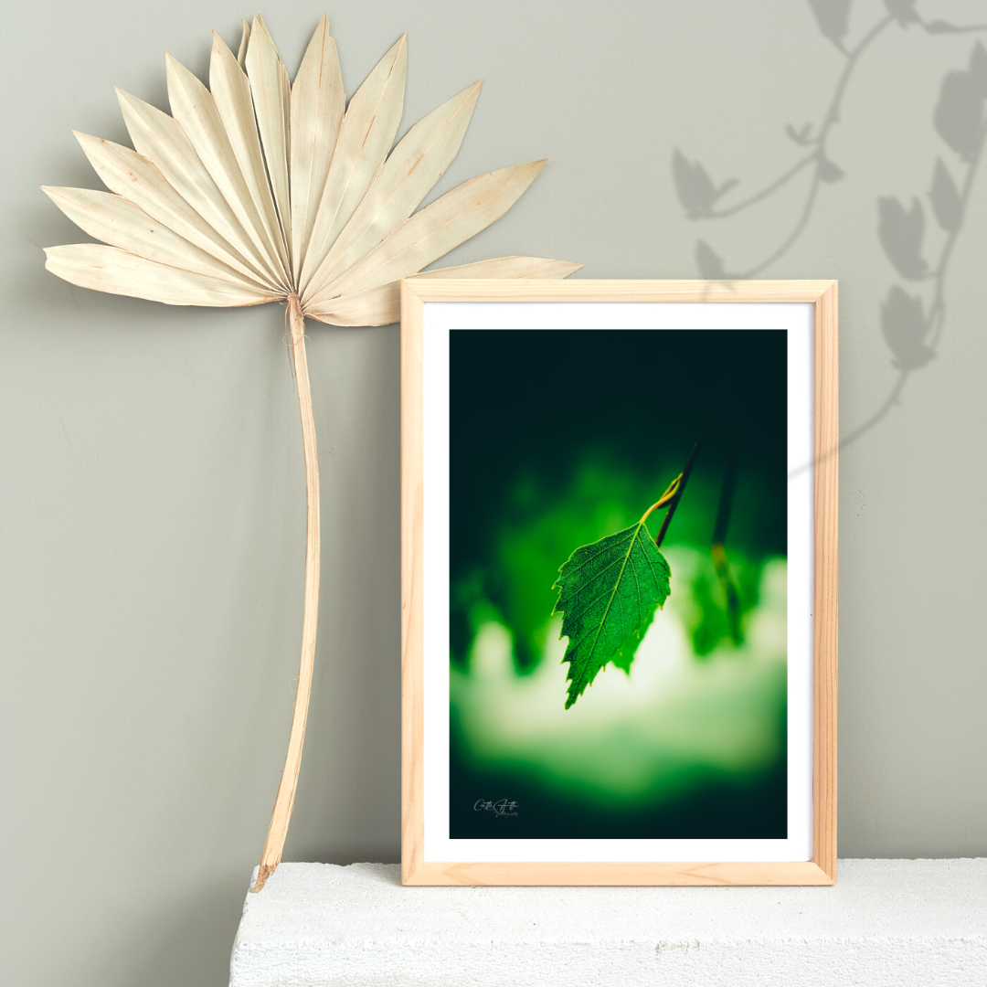 Alone - Macro Green Leaf Print