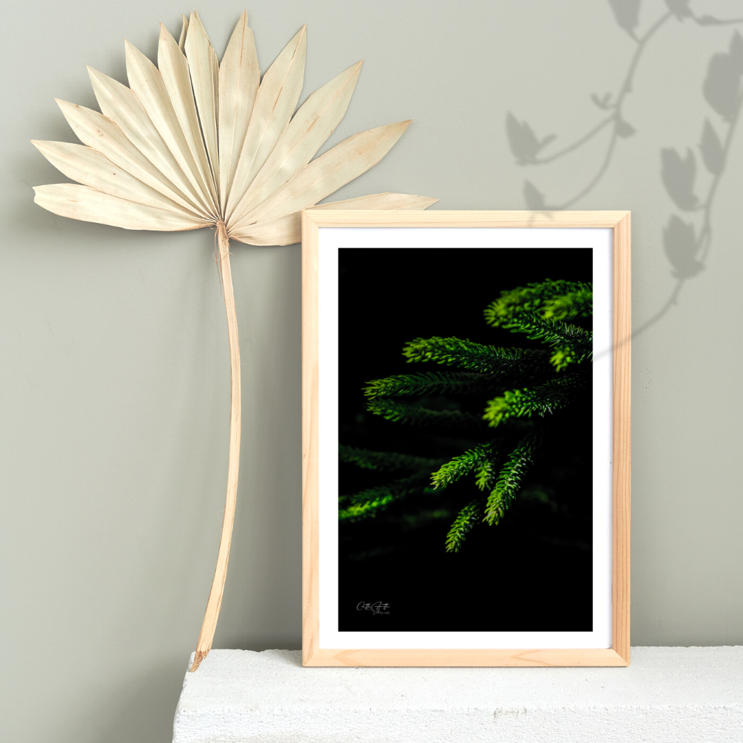 Pine Macro Print