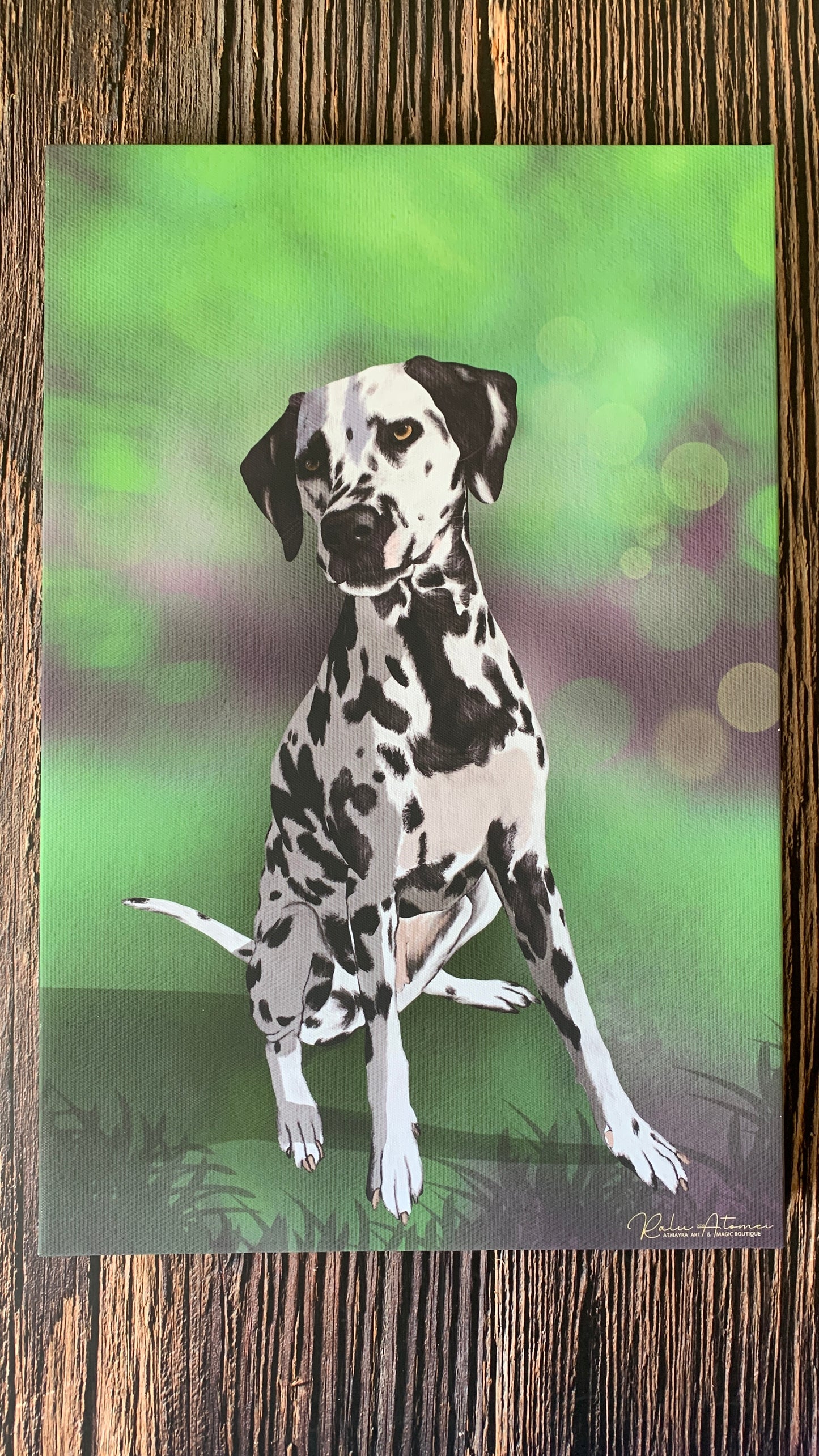 Pet Portrait Commission