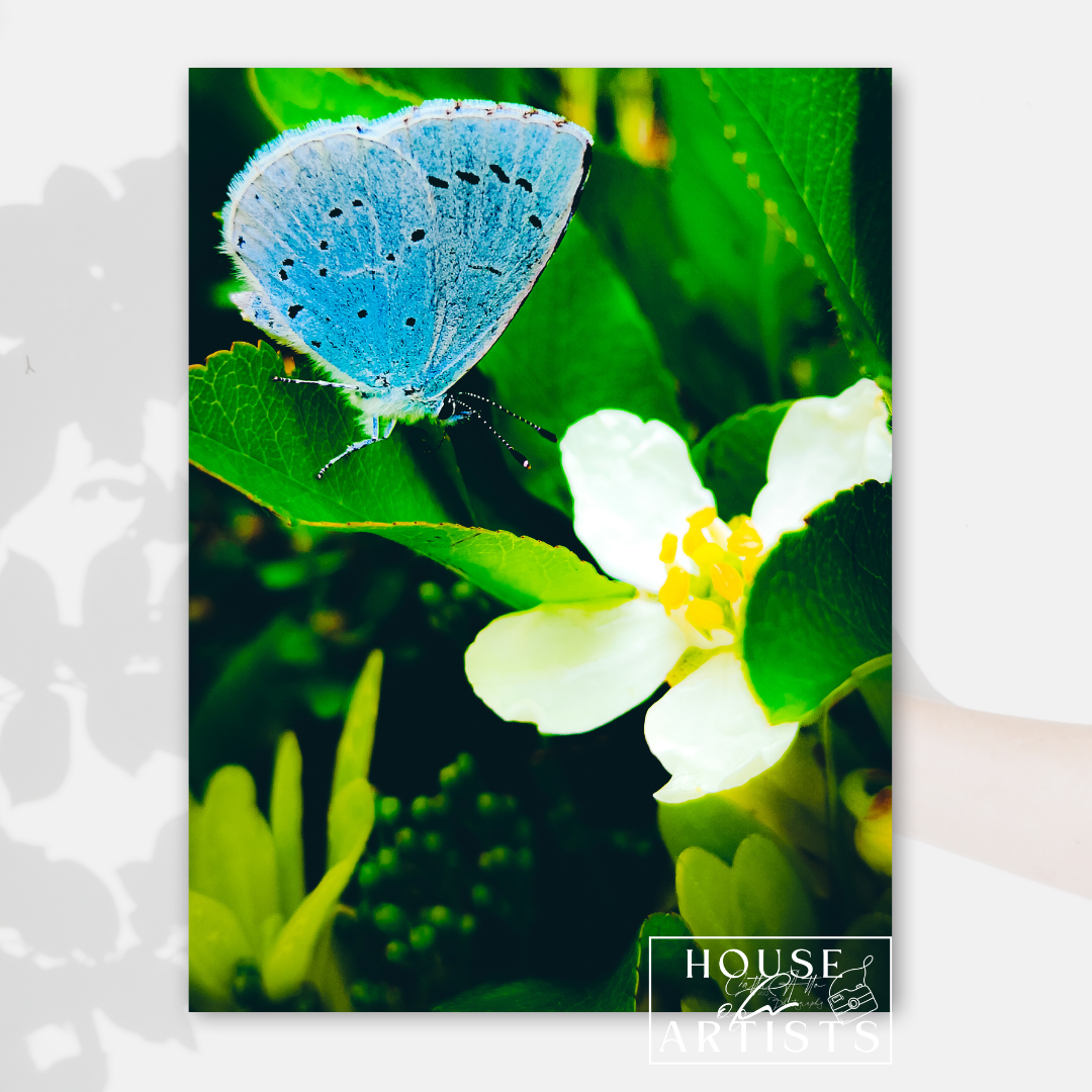 Blue Butterfly Print