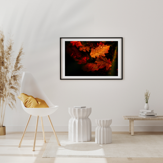 Close Up Fall Foliage Print