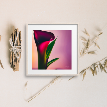 Mix and Match Calla Lily Prints