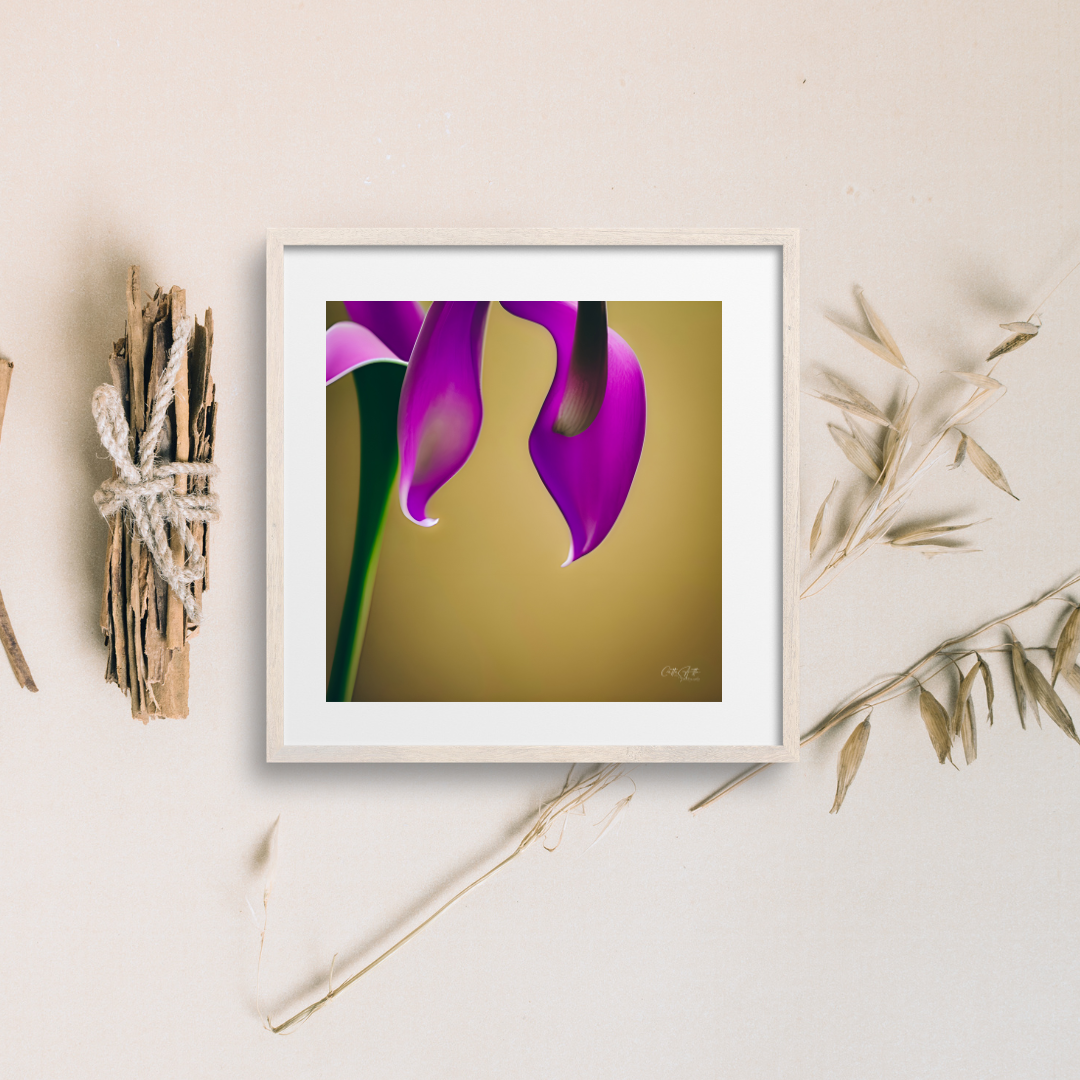 Mix and Match Calla Lily Prints