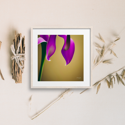 Mix and Match Calla Lily Prints