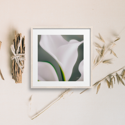 Mix and Match Calla Lily Prints