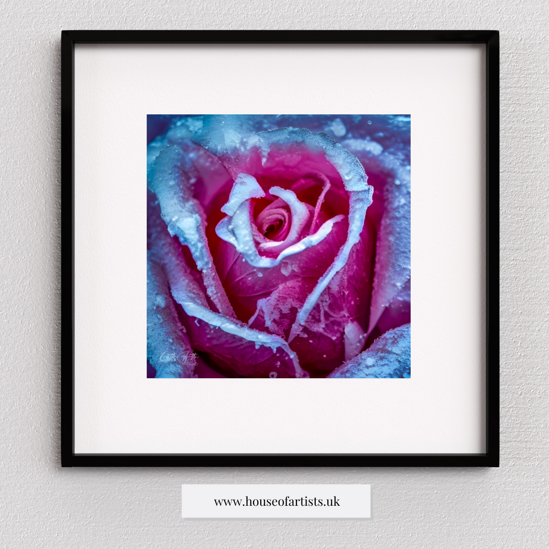 Mix & Match Frozen Roses Prints