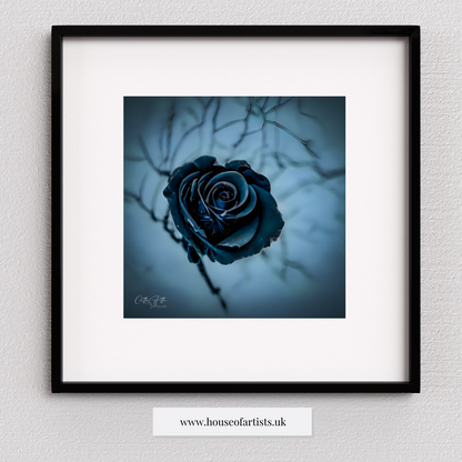 Mix & Match Frozen Roses Prints