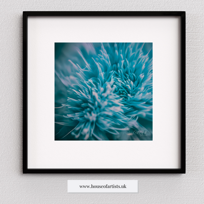 Mix & Match Macro Flowers Prints