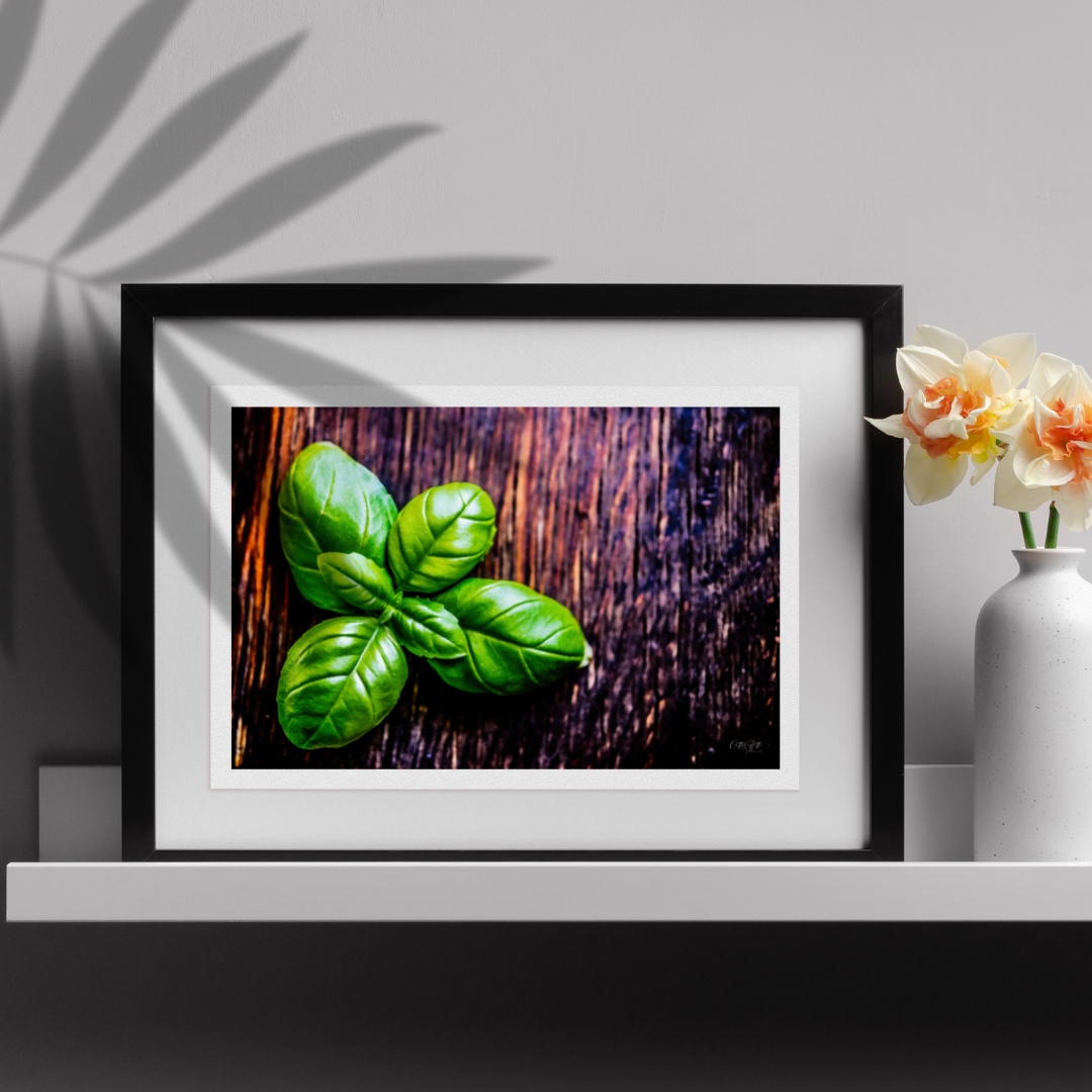 Macro Basil Print