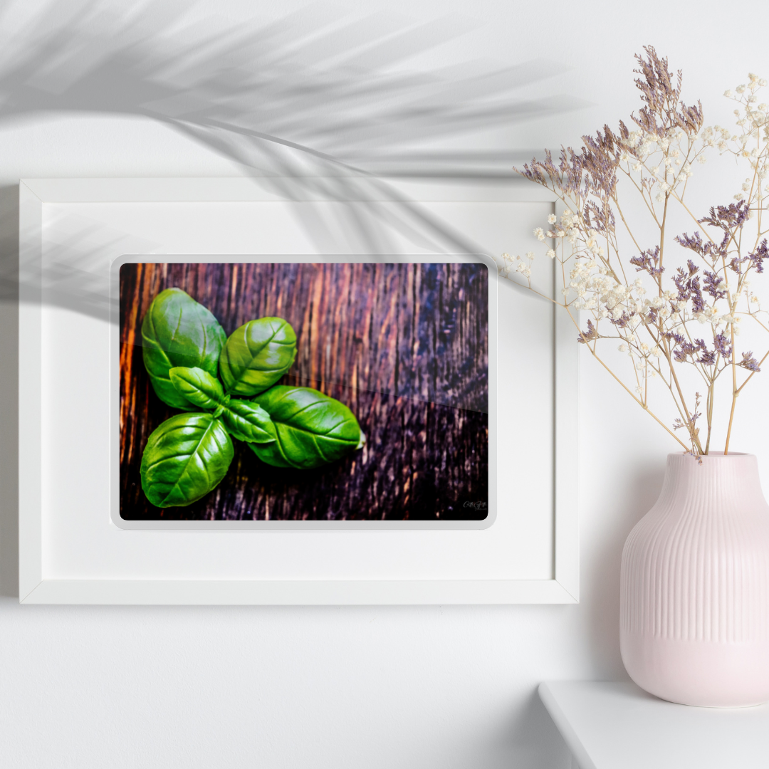 Macro Basil Print