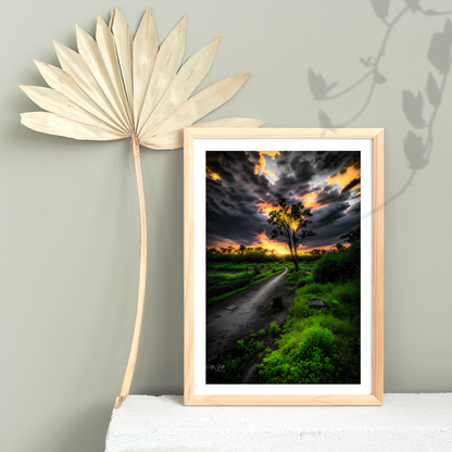 Trail at Sunset Print