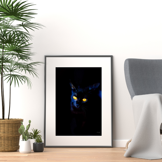 Black Cat in the Dark Print