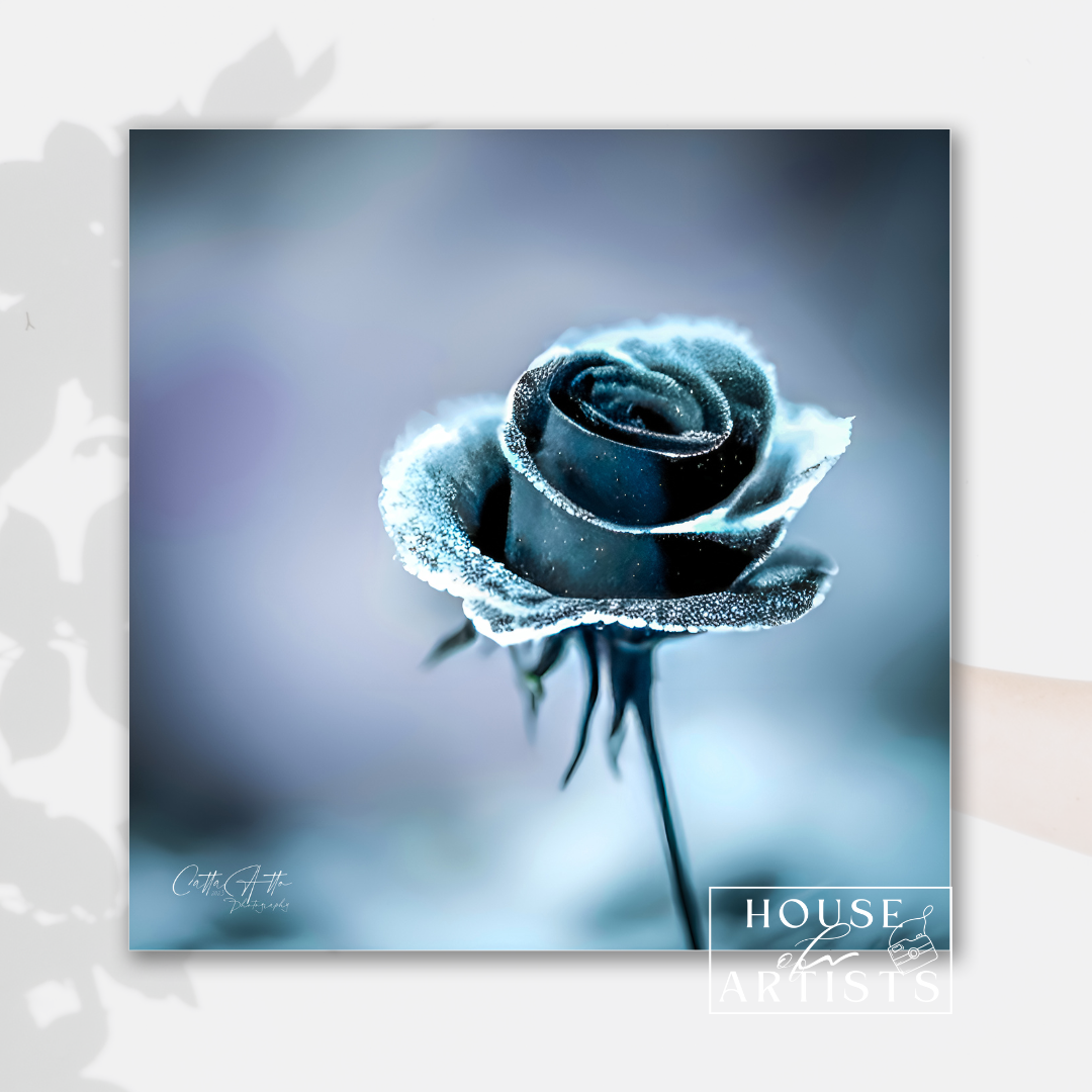 Mix & Match Frozen Roses Prints