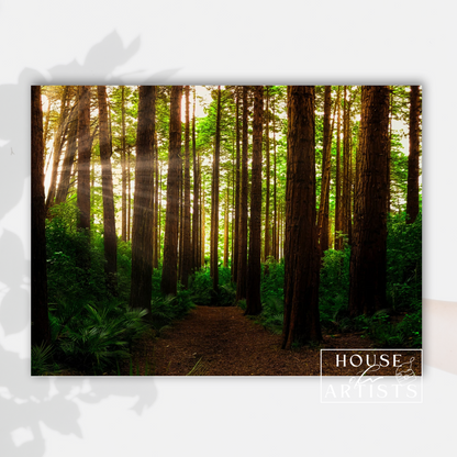 Summer in a Forest Print
