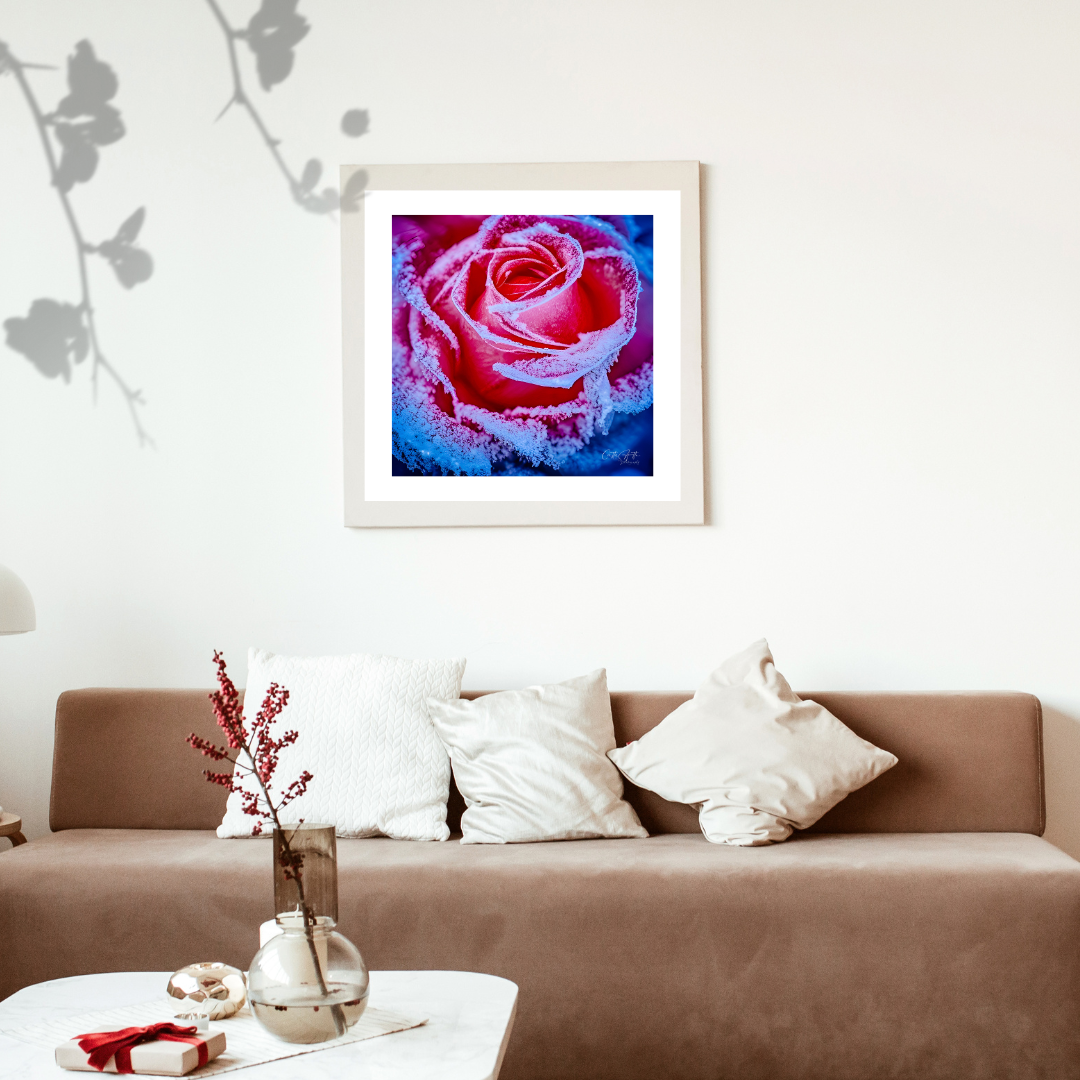 Mix & Match Frozen Roses Prints