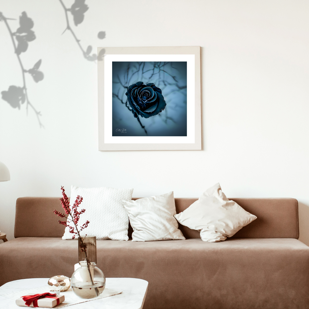 Mix & Match Frozen Roses Prints