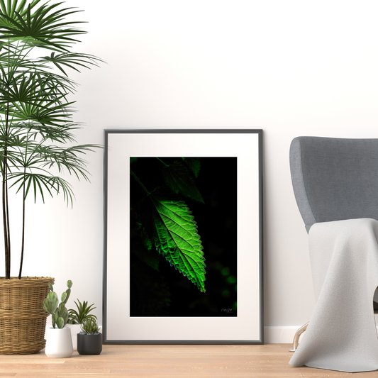 Macro Green Leaf Print