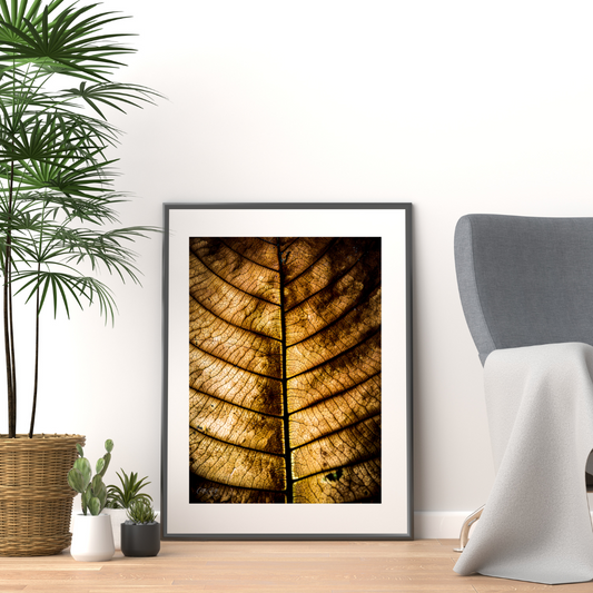 Macro Fall Foliage Print