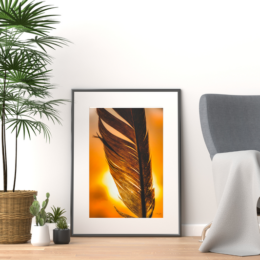 Macro Feather at Sunset Print